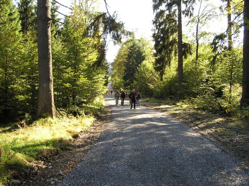 Schotterwegromantik in beschaulichen Wäldern.